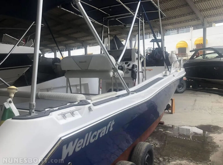 1040wellcraft220_02-1