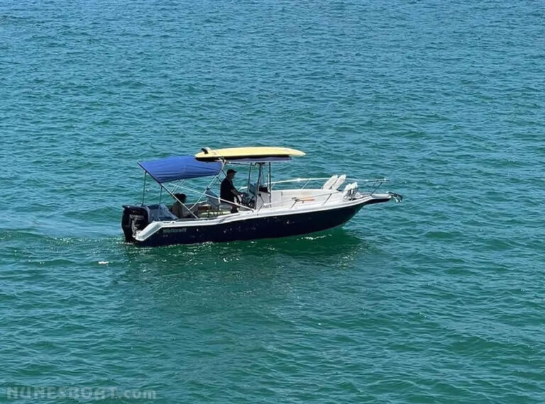 1040wellcraft220_11-2