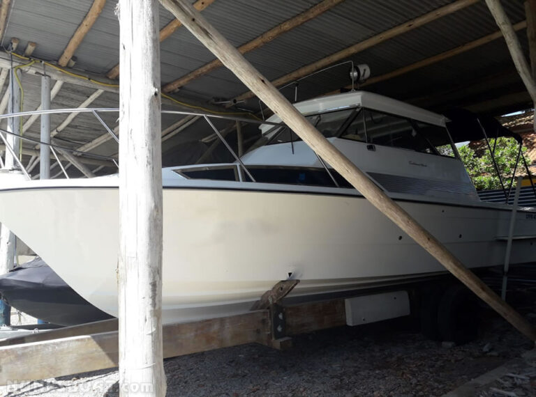 2523carbrasmar26_01-1