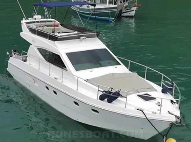 6901spiritferretti40_01-1