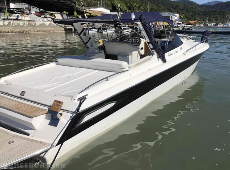 6030carbrasmar35_01-1