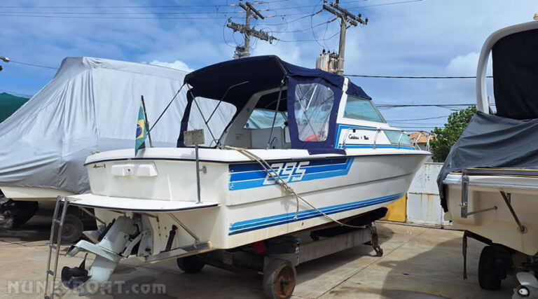 4480carbrasmar295_09