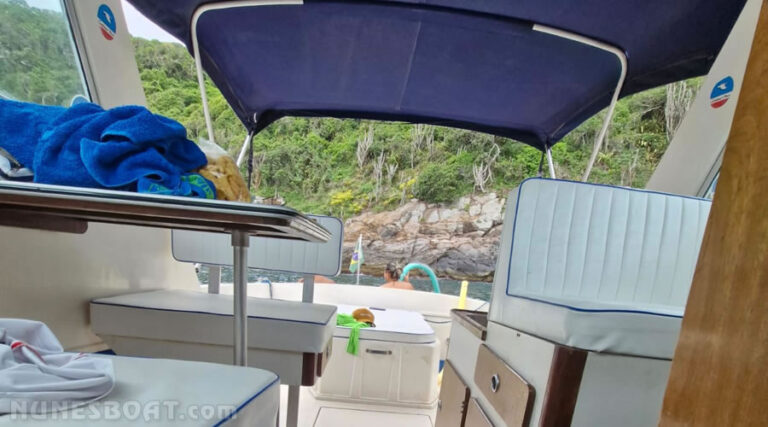 4480carbrasmar295_12